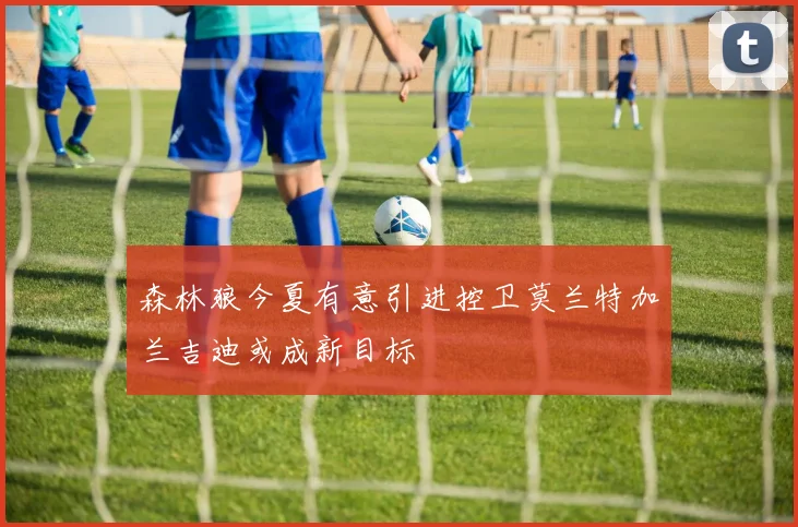 森林狼今夏有意引进控卫莫兰特加兰吉迪或成新目标