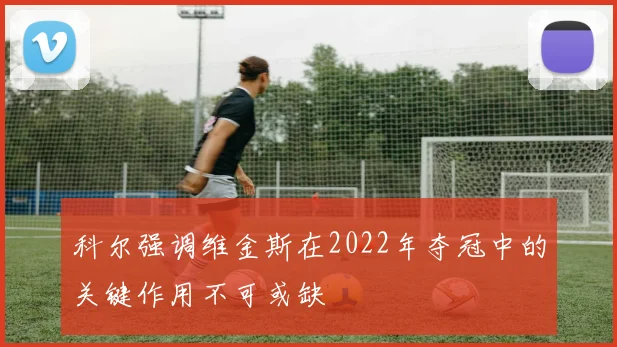 科尔强调维金斯在2022年夺冠中的关键作用不可或缺