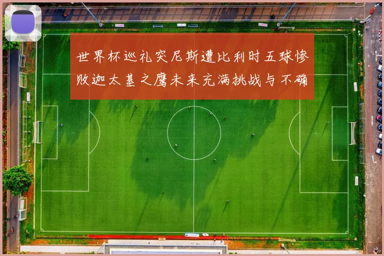 世界杯巡礼突尼斯遭比利时五球惨败迦太基之鹰未来充满挑战与不确定性